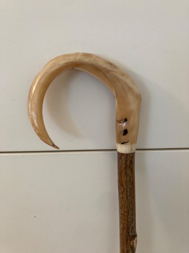 Rams horn crook on hazel - crook,