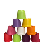 10 x COLOURED 2 LITRE PLANT