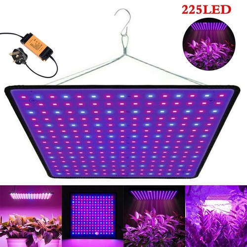 2000w led grow light for - 2000w,