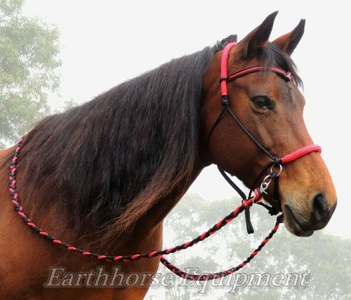 Earthhorse equipment brow - earthhorse, equipment,v