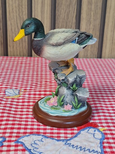 Border fine arts studio - border, birds
