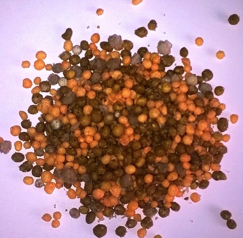 Slow release fertilizer 12 - slow,