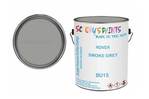 Classic paint for - classic,