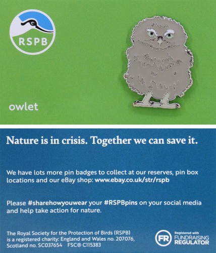 Rspb pin badge - rspb,