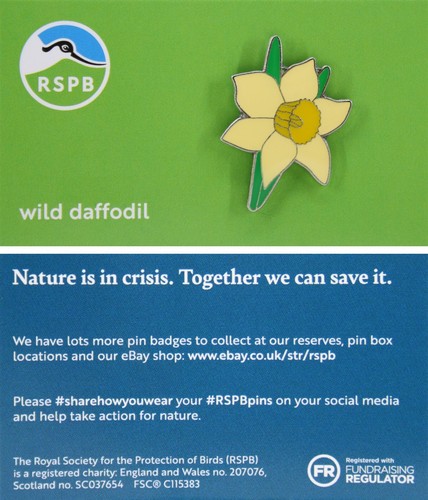 Rspb pin badge - rspb,