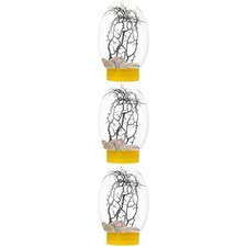 3pcs Small Fish Tank Desktop Fish Tank Desktop Aquarium for Home Decor Aquarium