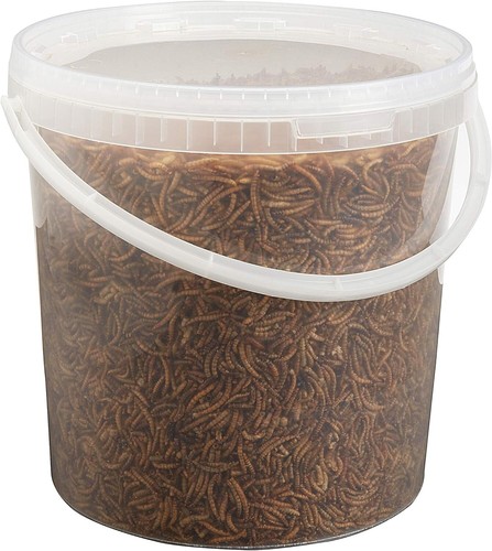 Premium dried mealworms 10 - premium,