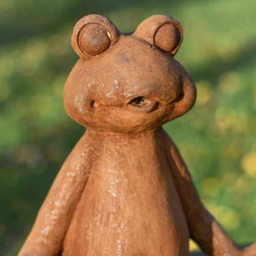 Large meditating frog - meditating,