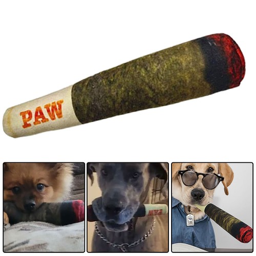 Raw squeaky dog - raw, toy