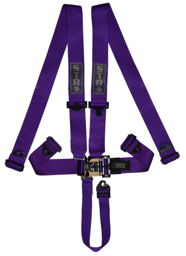 Nascar race harness point - nascar,