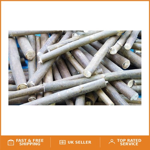Versatile pack natural - pack,