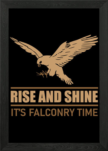 Falconry falcon bird lover - falcon,