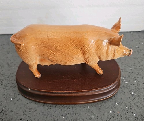 Royal doulton tamworth - royal, pig