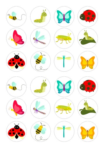 Edible cute bugs - 24,