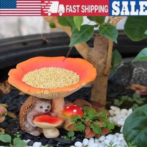 Hedgehog mushroom garden - mushroom,