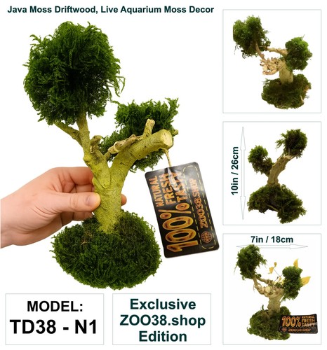 Java moss attached bog - attached, wood