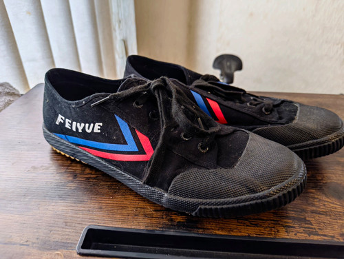 Feiyue 1920 canvas shoes - feiyue,