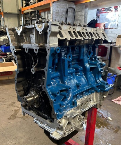 Ford transit custom ecoblue - transit,