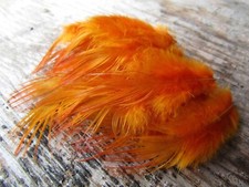 IFS Bleached Golden Pheasant Rump - Dyed W.O.I. Golden Olive GP Shrimp Octopus
