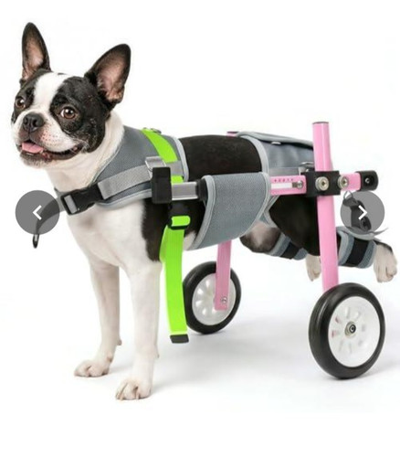 Lightweight and adjustable dog - and,