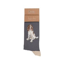 Super Soft Springer Spaniel