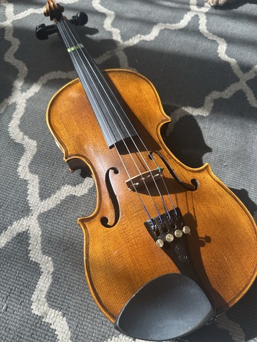 Stentor student violin - stentor,