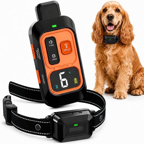 Dog training collar - dog, with