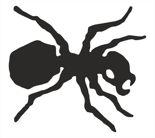 Ant prodigy vinyl decal - ant,