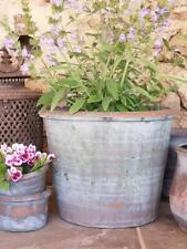 Vintage Tulip Pot, Rustic