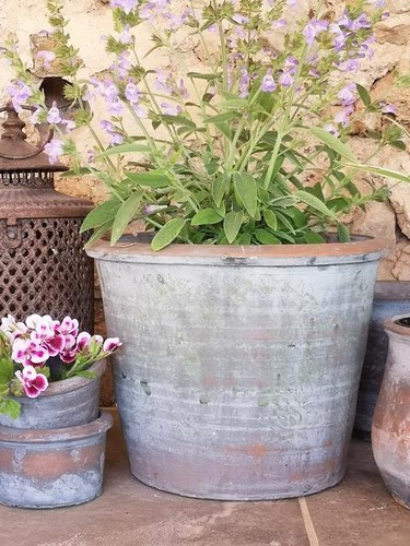 Vintage tulip pot - vintage, rustic