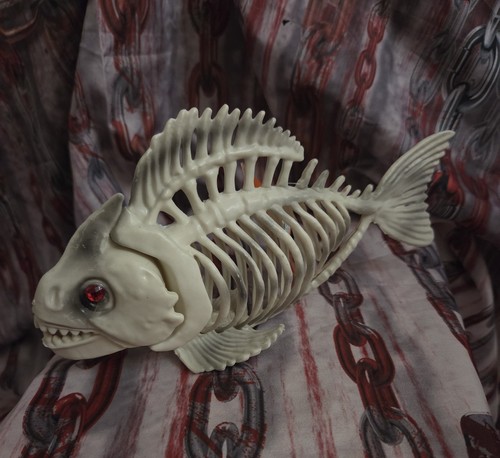 Killer piranha fish skeleton - killer,