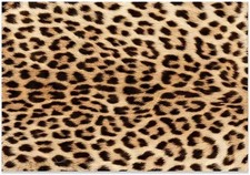 Leopard Print Rug, Soft Animal