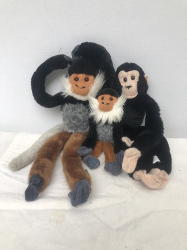 Family capuchin monkey - family, of