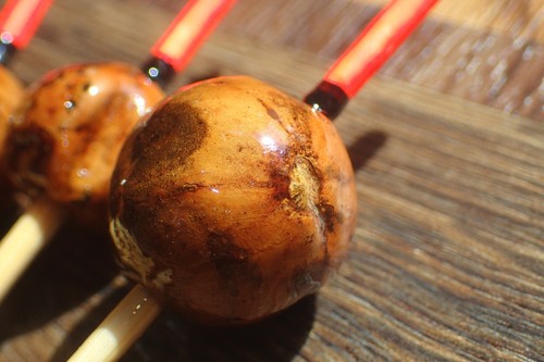 One oak gall cane - gall,
