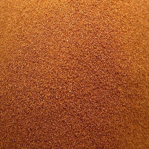 Decapsulated brine shrimp eggs - brine,