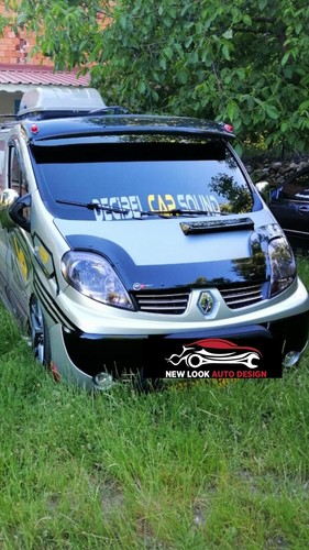 Sun visor black and bug - black, guard