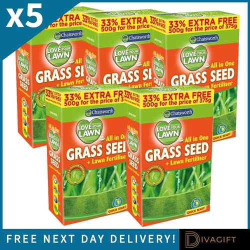 Grass seeds 500g lawn - grass,