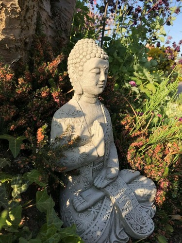 Abhaya mudra buddha hand - mudra,