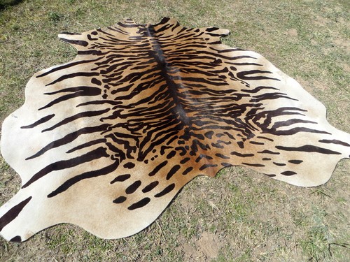 Large tiger bengal - large, !