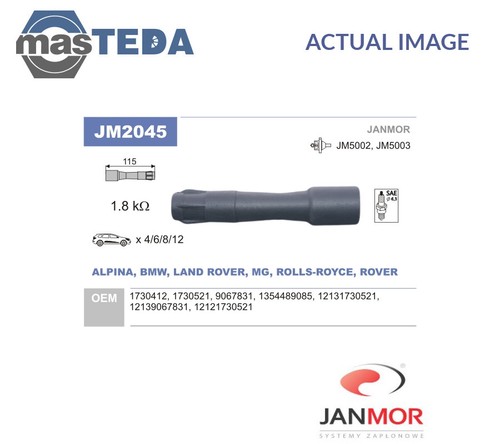 Jm2045 plug coil - coil, oe