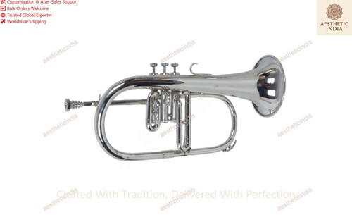 India musical instrument - india,