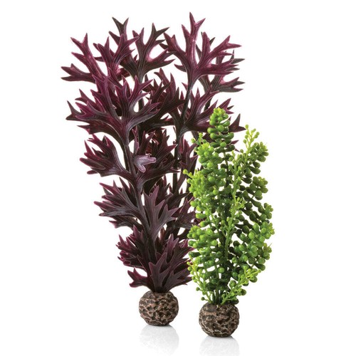 Biorb seapearls kelp olive - seapearls,