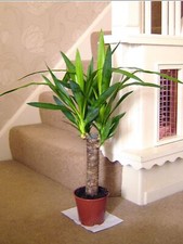 60cm tall large - 60cm,