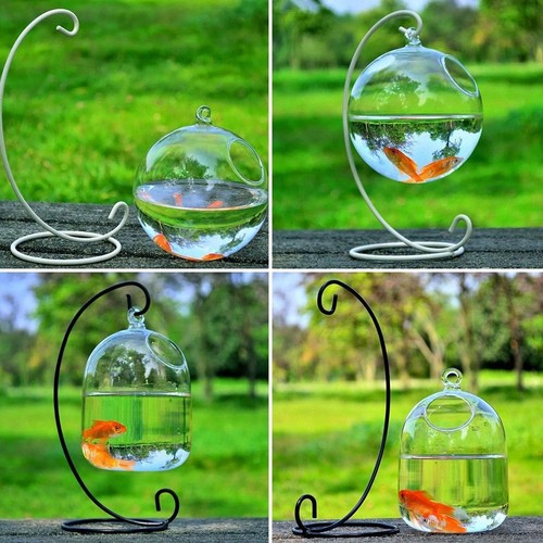 Wall hanging glass - wall,