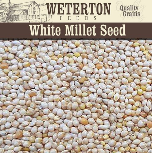 Red and white millet mix - and, –