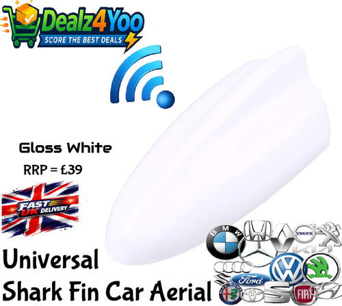 Universal gloss white - gloss, shark