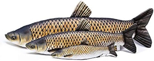 Gaby grass carp - grass,