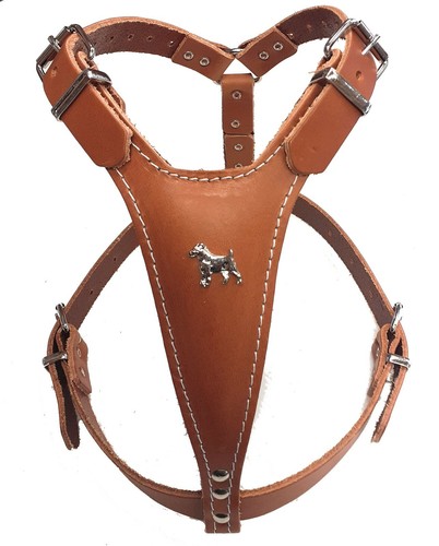 Beautiful brown leather dog - brown,