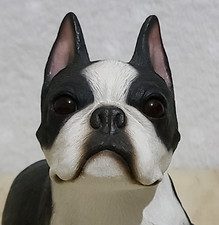 Sandicast San Diego Sandra