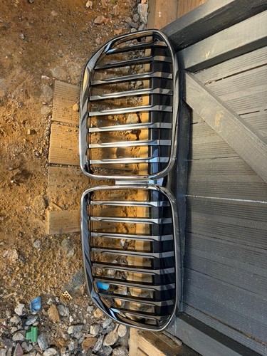 Bmw grille - bmw,